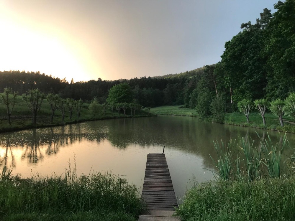 Pronájem rybníku Ráj pro 8 osob