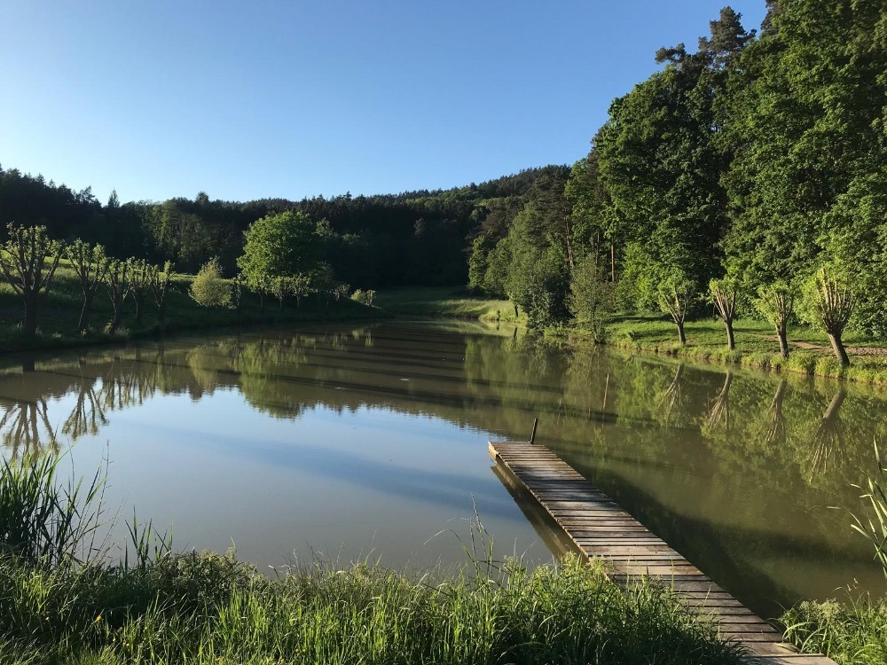 d4562de5-cb54-413e-bcbb-3c13a0094b2d